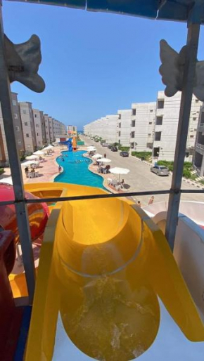 تاهيتي الجراولة